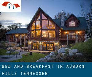 Bed and Breakfast in Auburn Hills (Tennessee)