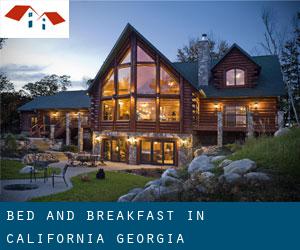Bed and Breakfast in California (Georgia)